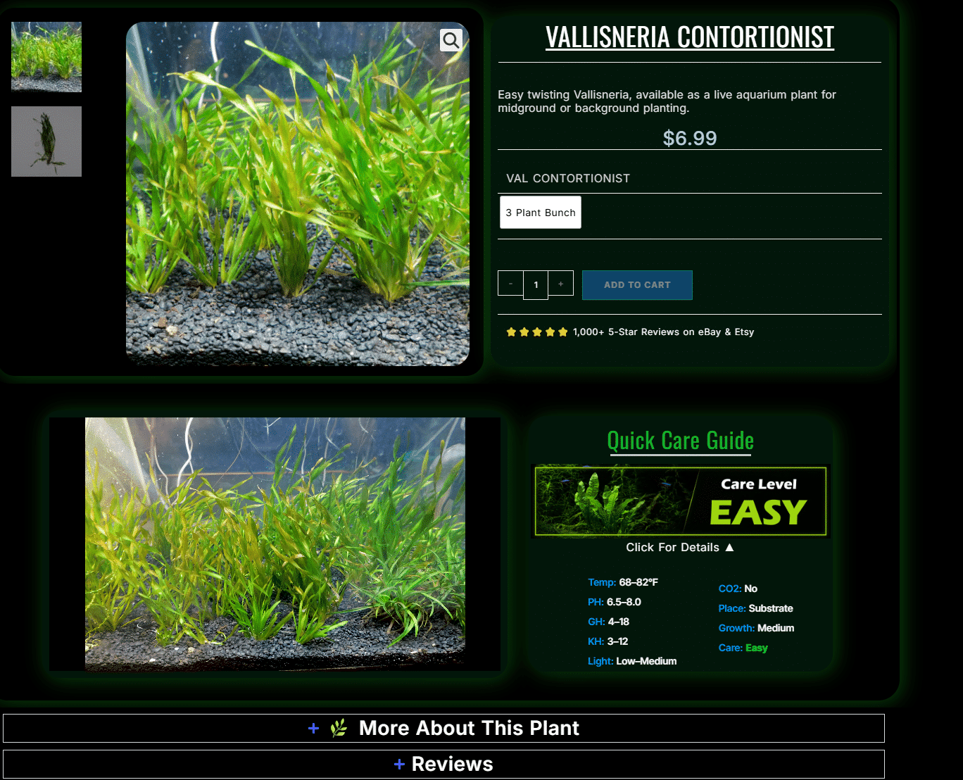 Screenshot 2026-05-11 205500