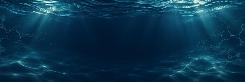 Aquarium Water Conditioners