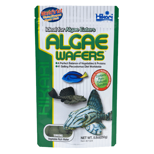 Hikari Algae Wafers