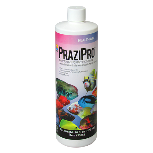 Hikari® PraziPro®