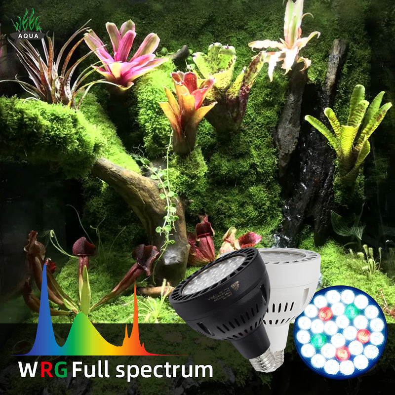 Week Aqua Y30S Rainforest LED Track Light