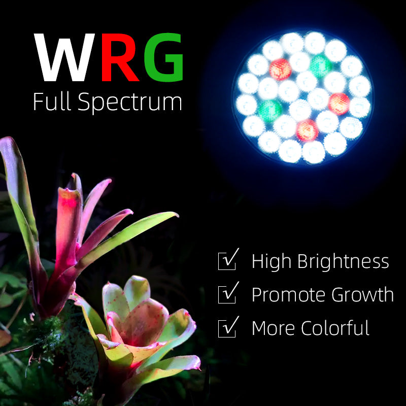 Week Aqua Y30S Rainforest LED Track Light