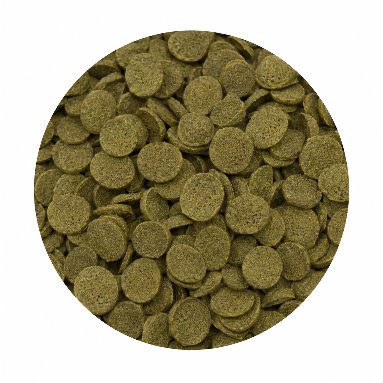 Pleco Chips — 1.2 oz