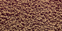 Discus Bio-Gold®