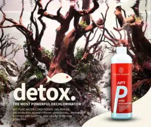 APT Pure 500ml bottle in front of a planted aquarium with the word detox overlayed
