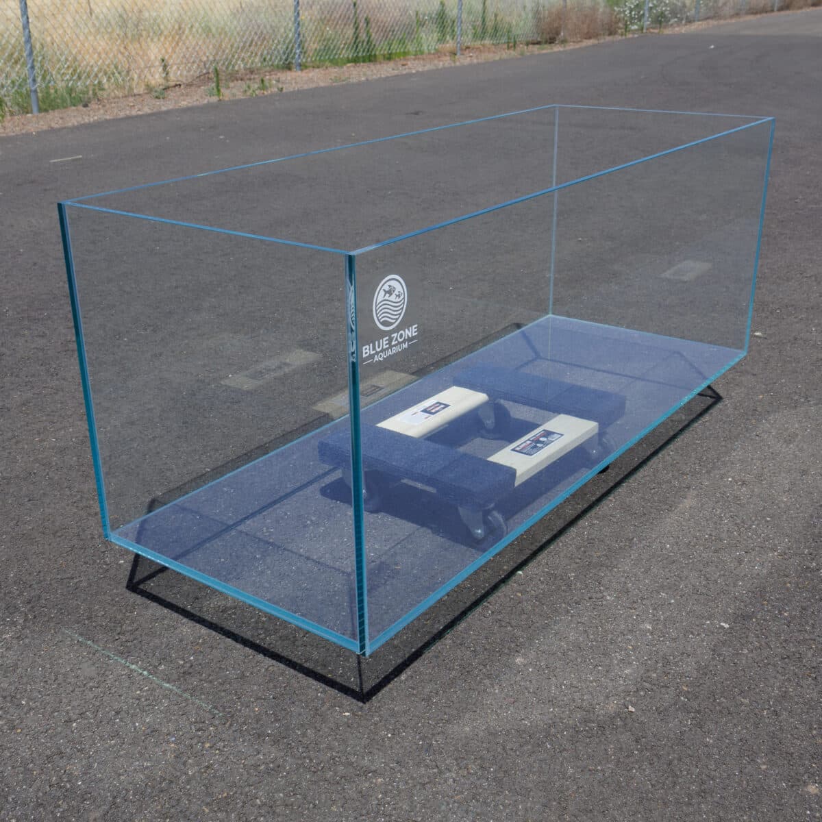 BZA-64 ultra clear rimless aquarium in outdoor light, 64 gallon tank with 10 mm glass