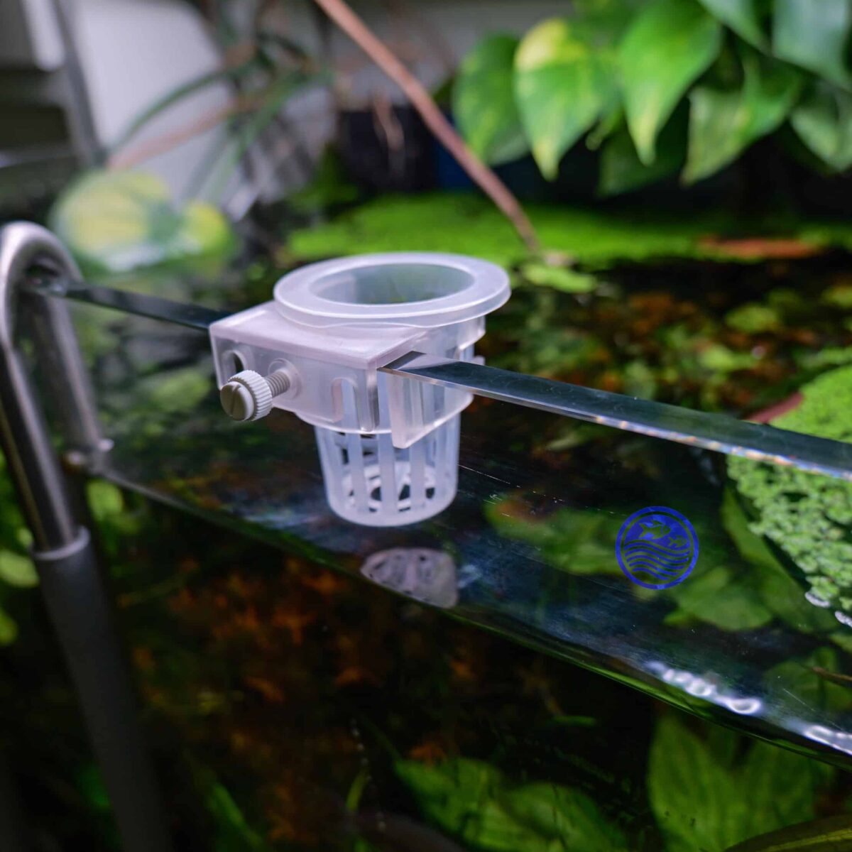 Hanging basket on rimless aquarium