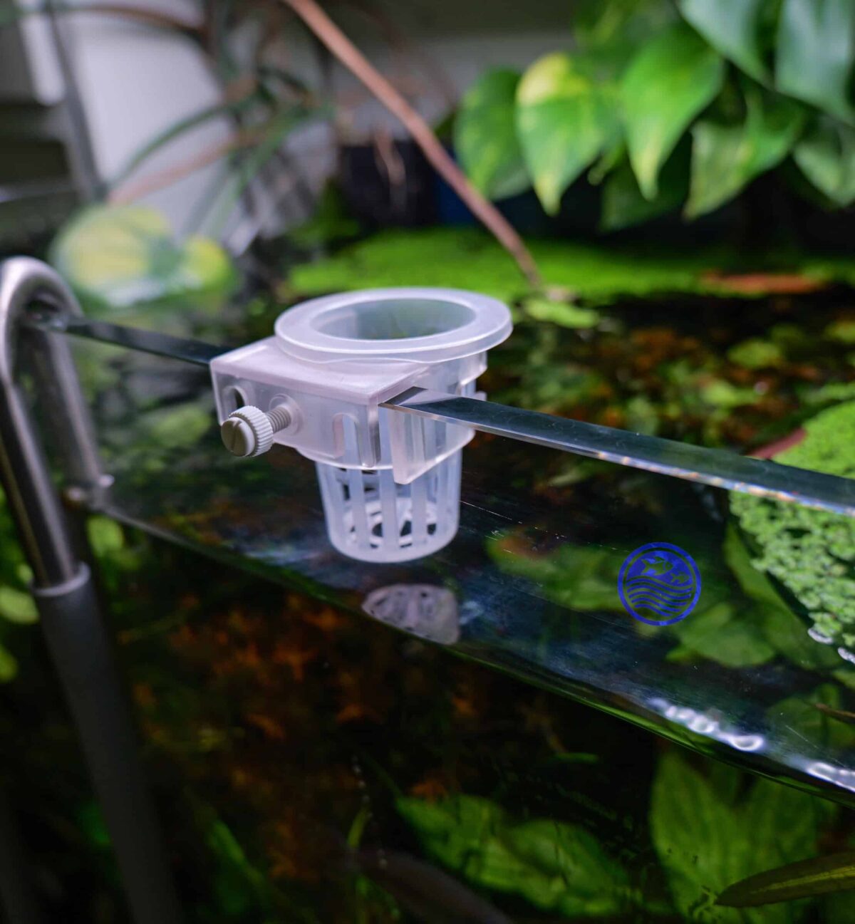 Hanging basket on rimless aquarium