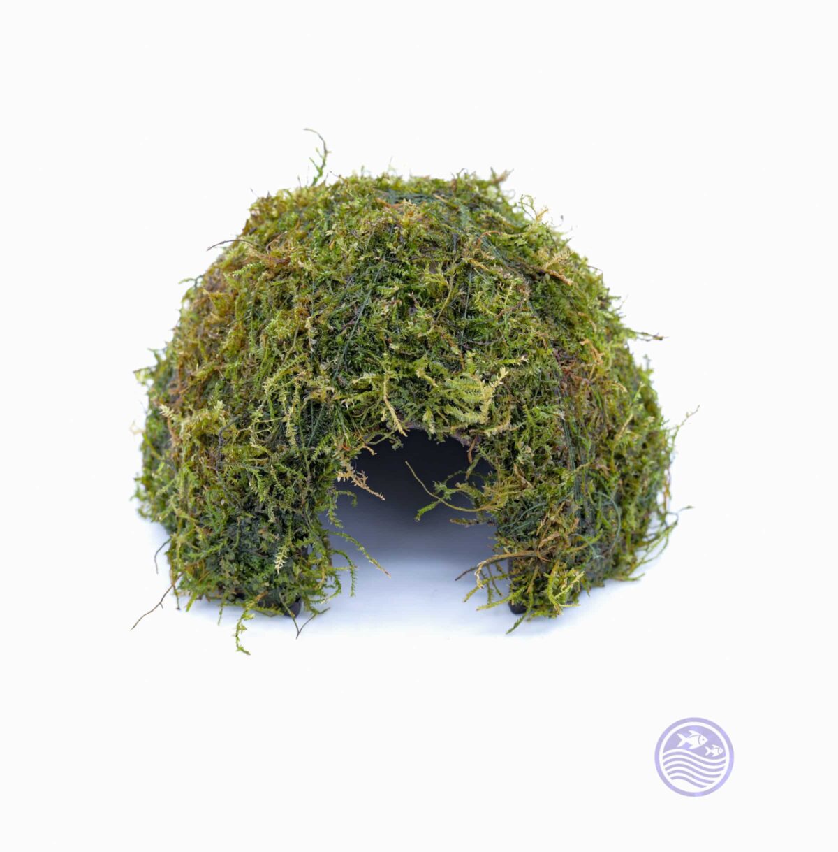 Moss Covered Coconut Cave front view (without Fern)