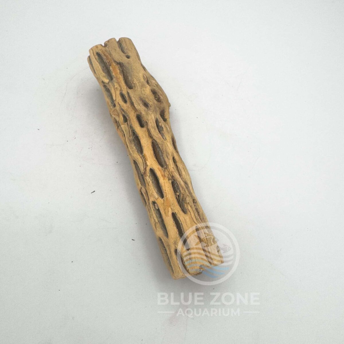 6 Inch Cholla Wood | Presoaked or Dry | Natural Aquarium Decor | Shrimp and Pleco Safe Hiding Spot