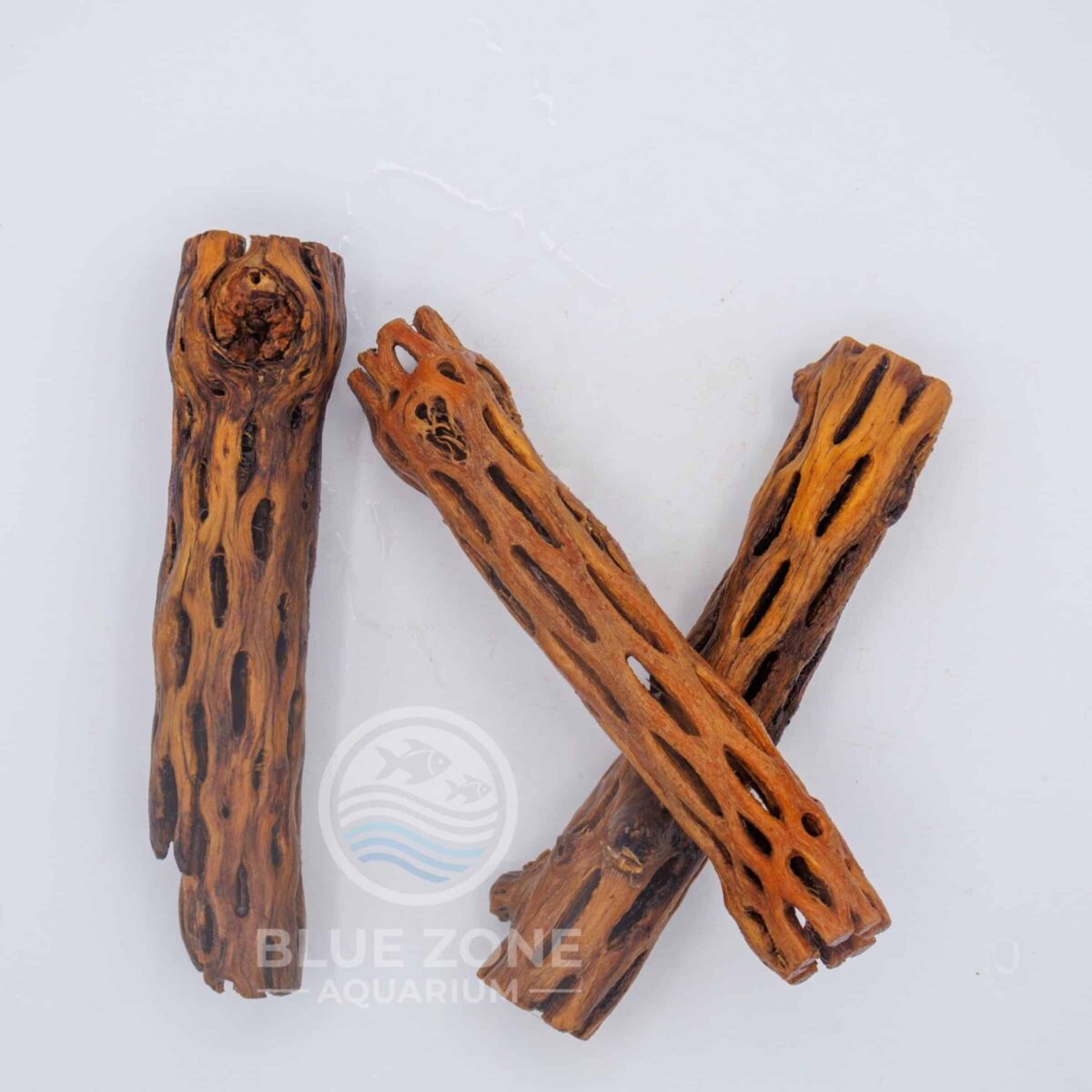 6 Inch Cholla Wood | Presoaked or Dry | Natural Aquarium Decor | Shrimp and Pleco Safe Hiding Spot