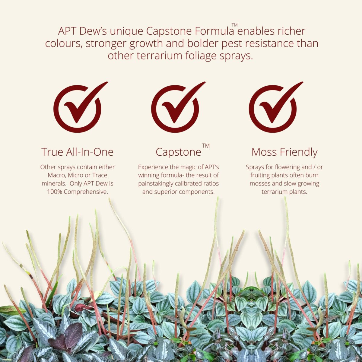 APT Dew – Foliar Spray - Image 3