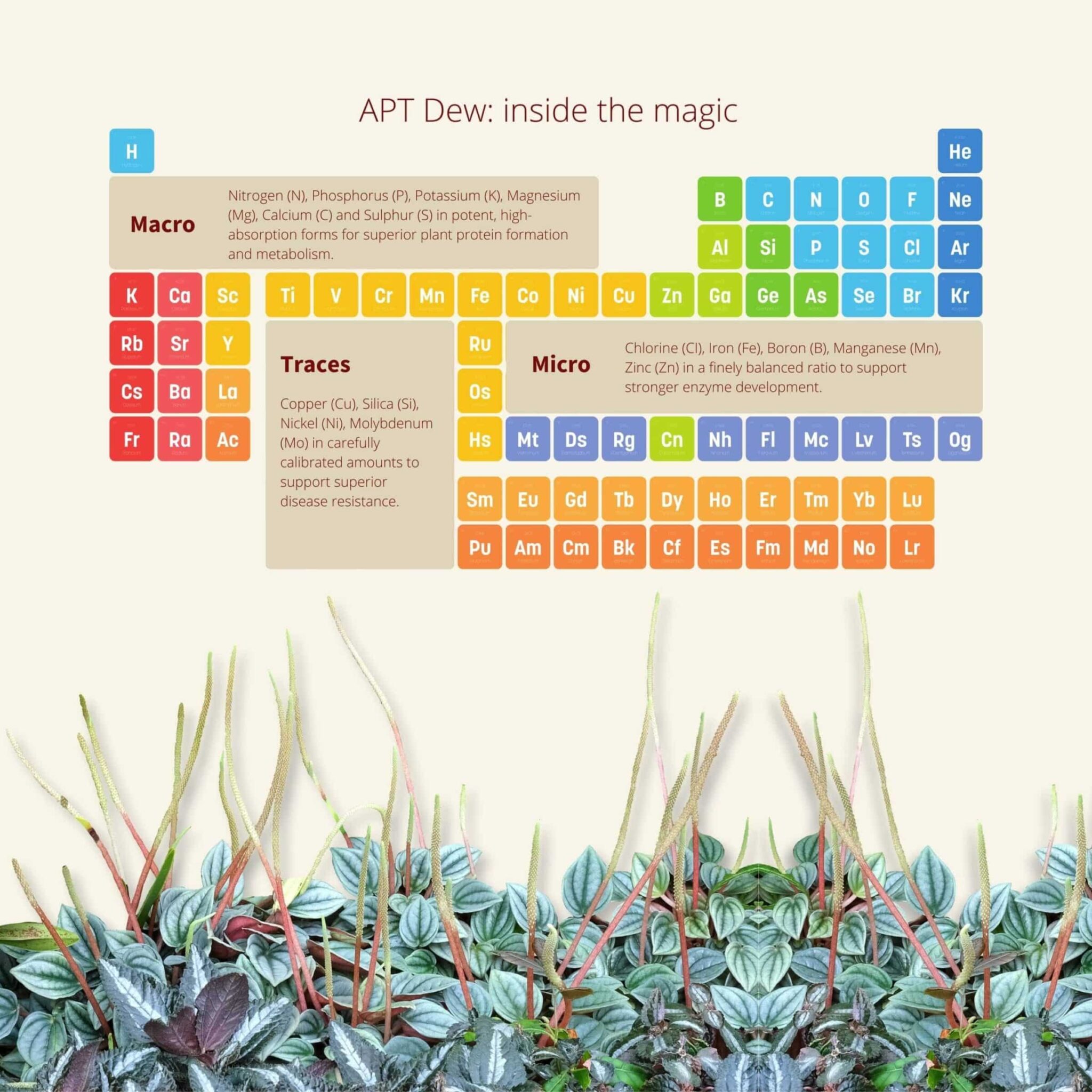 APT Dew – Foliar Spray - Image 4