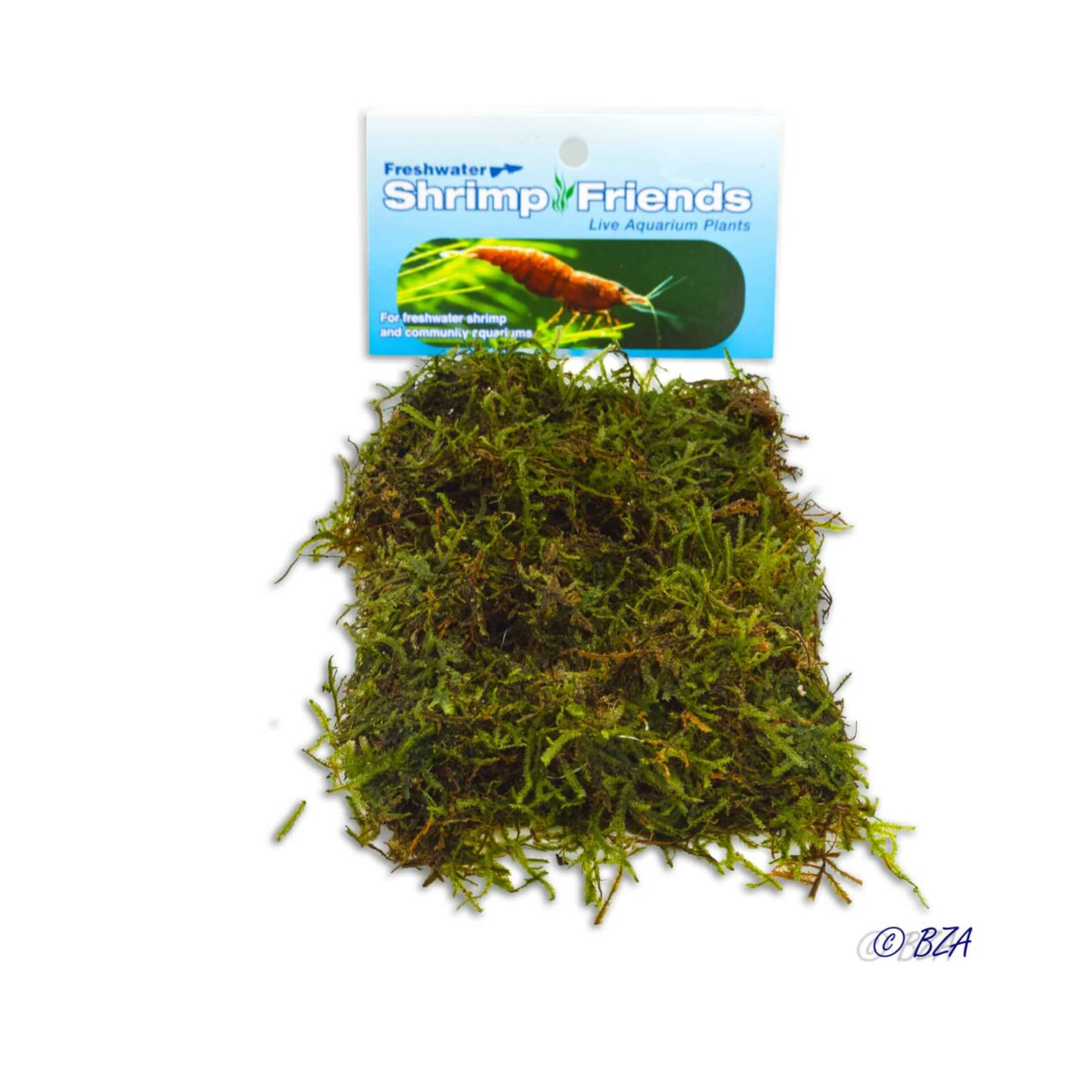 Java Moss portion in retail flat pack with label