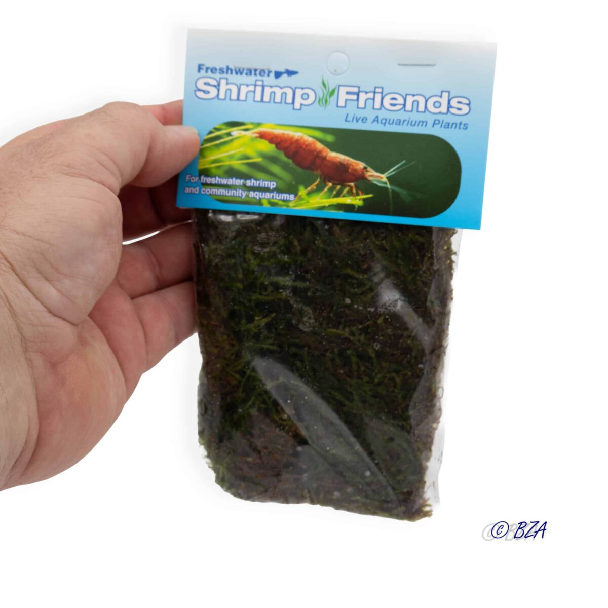 Flat moss portion held in hand in sealed bag with product label