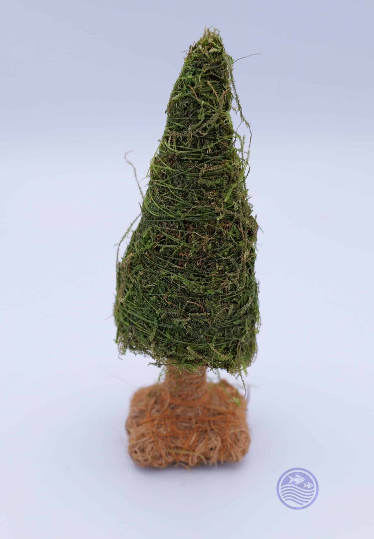 ava Moss Trees with weighted bases on white background