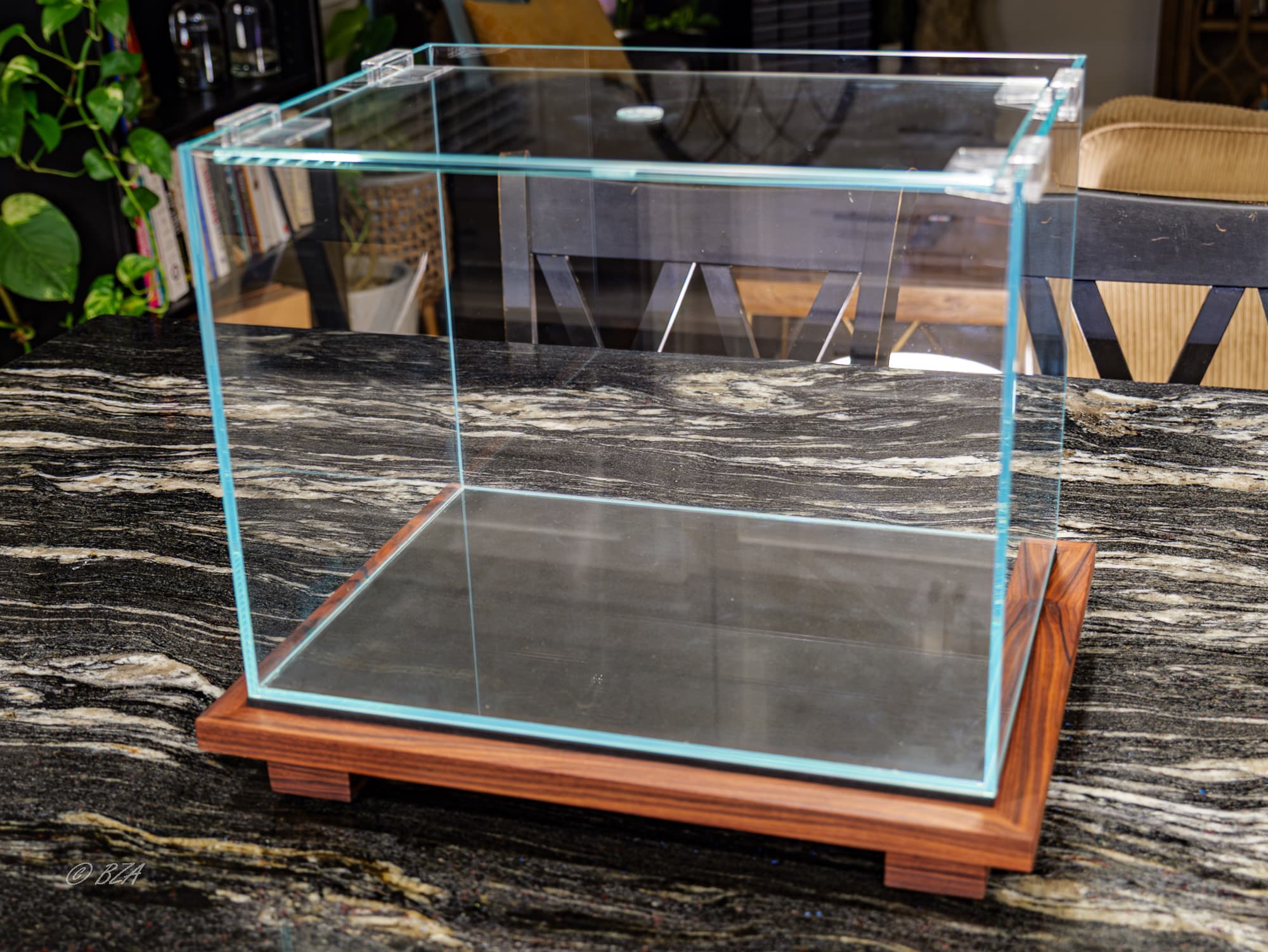 Ultra clear rimless aquarium placed on handcrafted tabletop stand