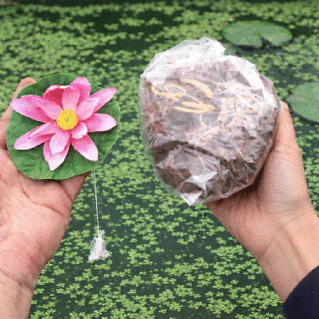 Hardy Water Lily Easy Start Kit