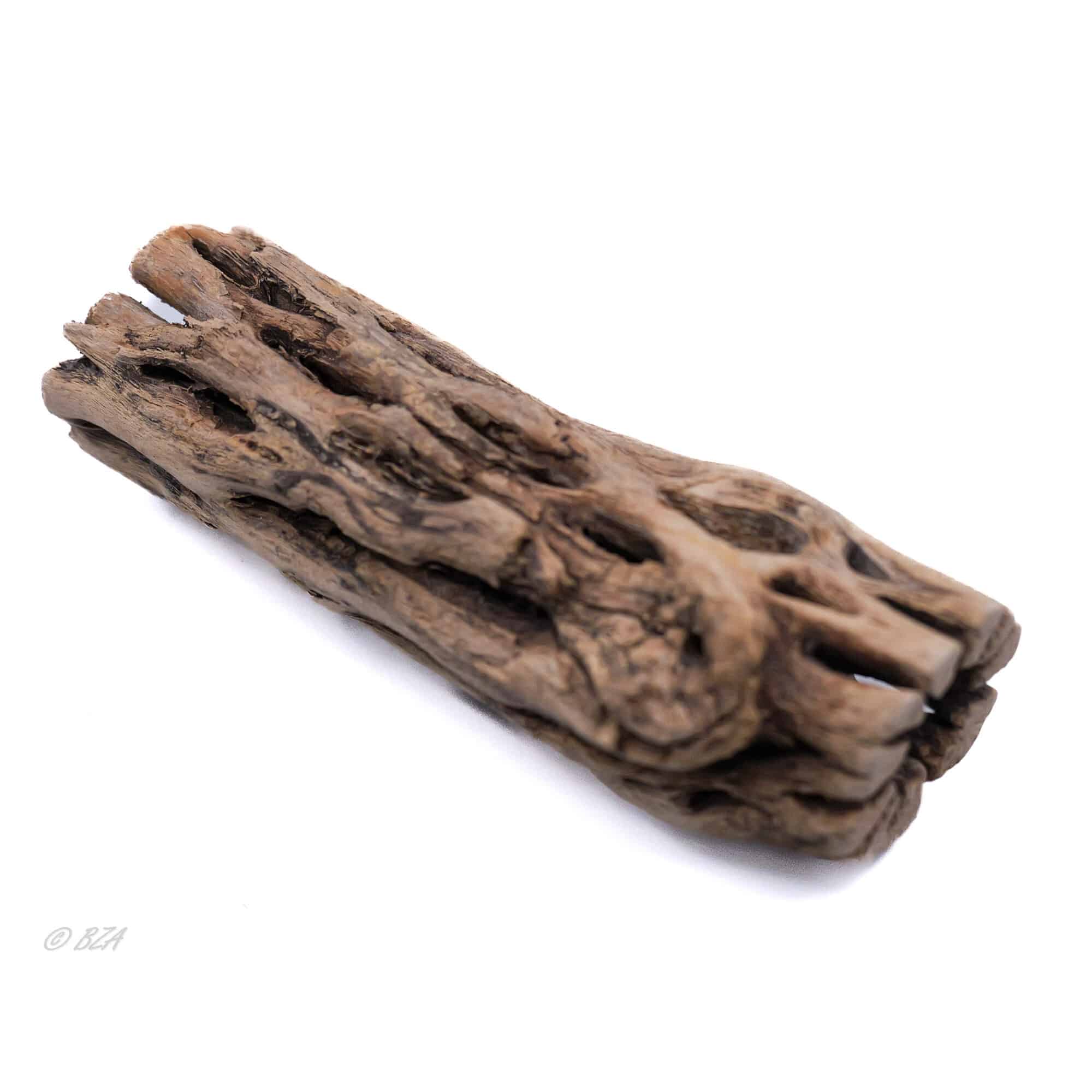 Cholla Wood