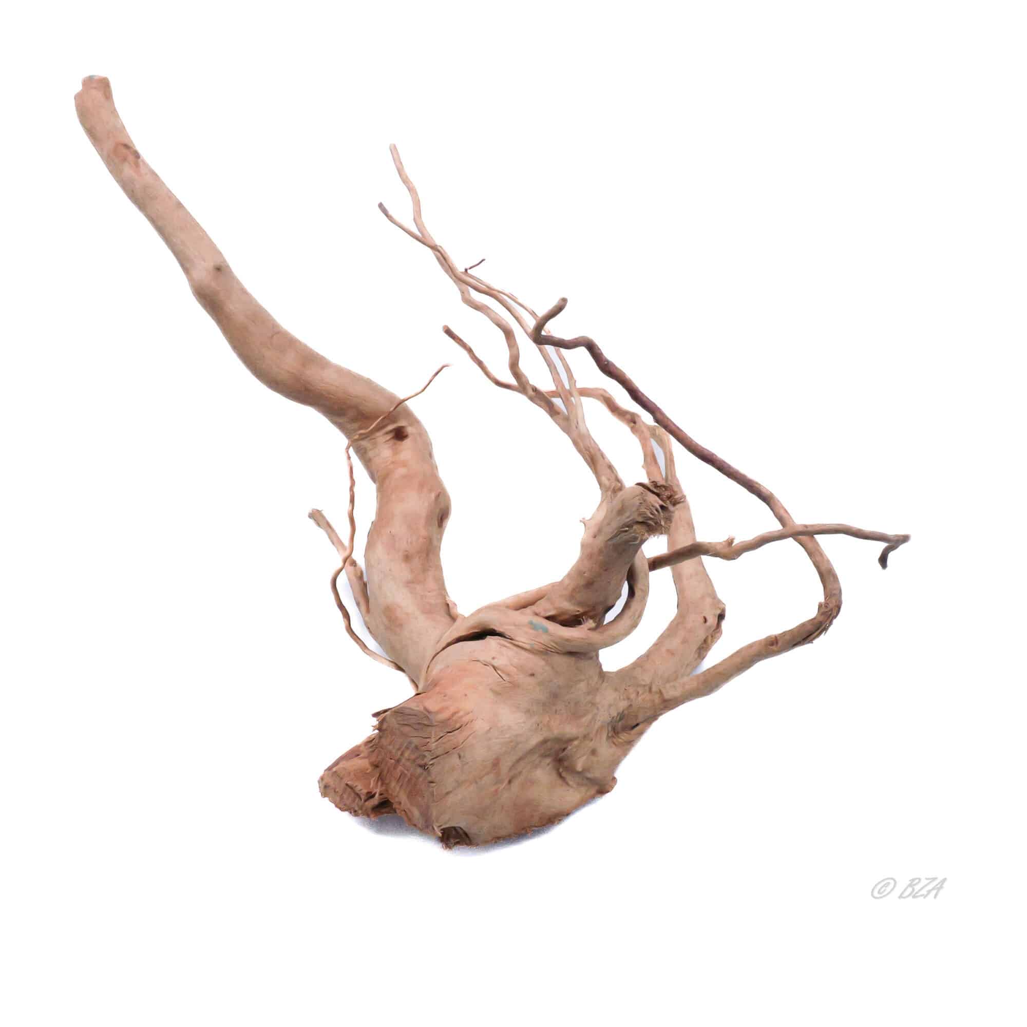 Spider Wood Large (12–16″)
