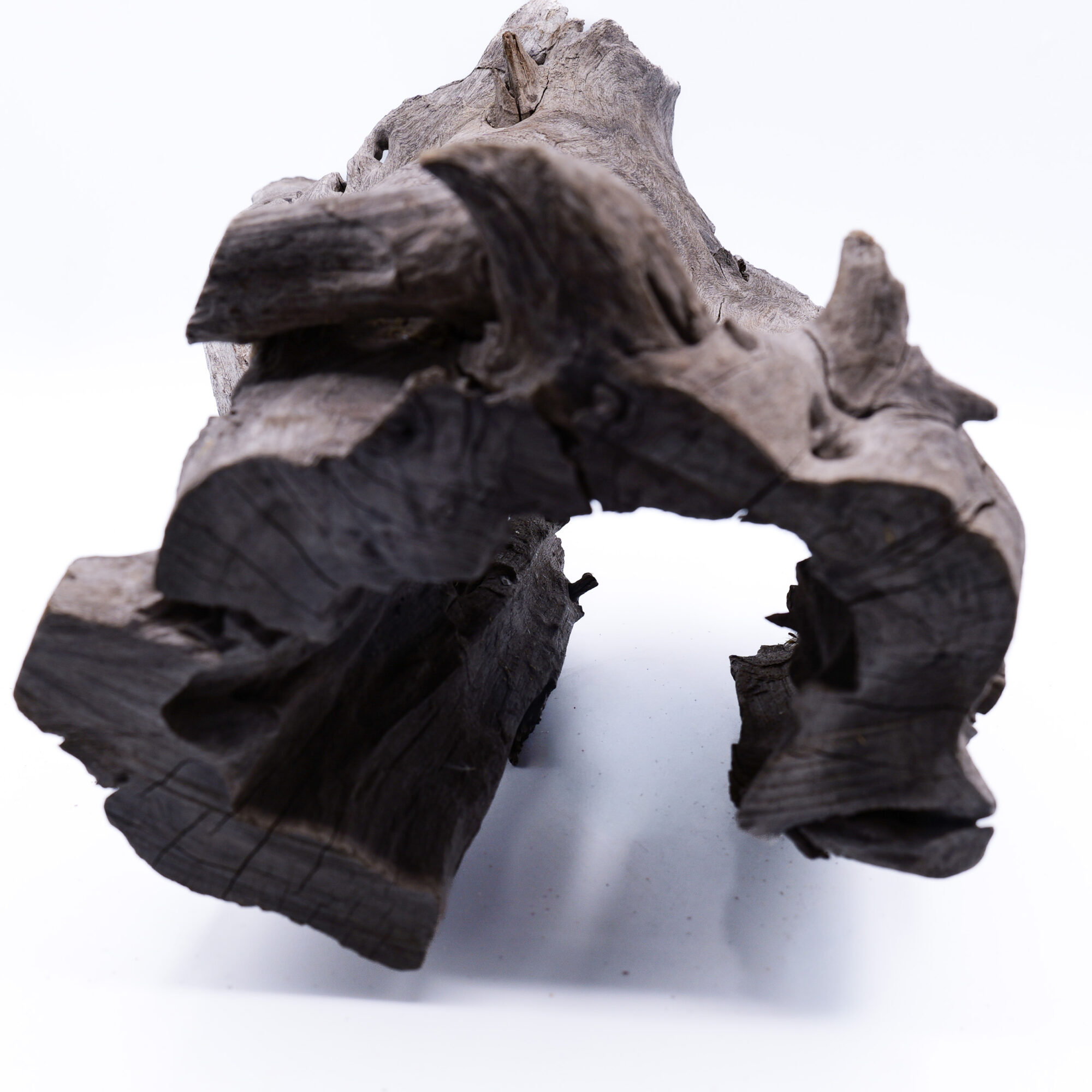 XL hollow stump driftwood