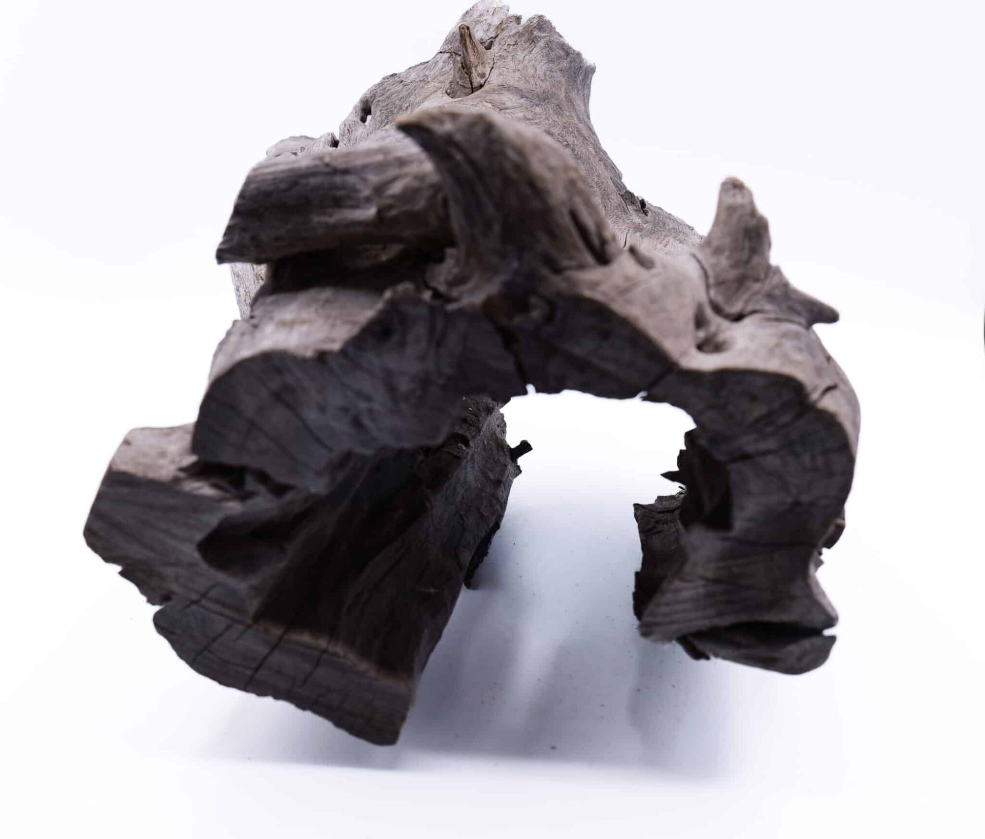 XL hollow stump driftwood