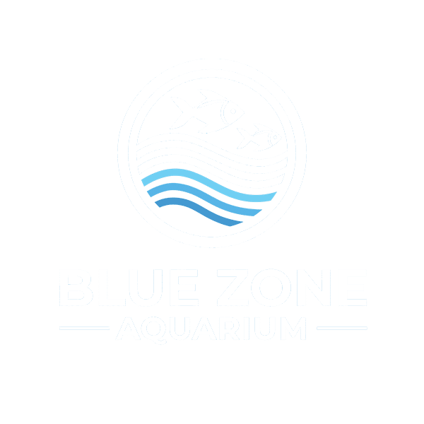 Blue Zone Aquarium